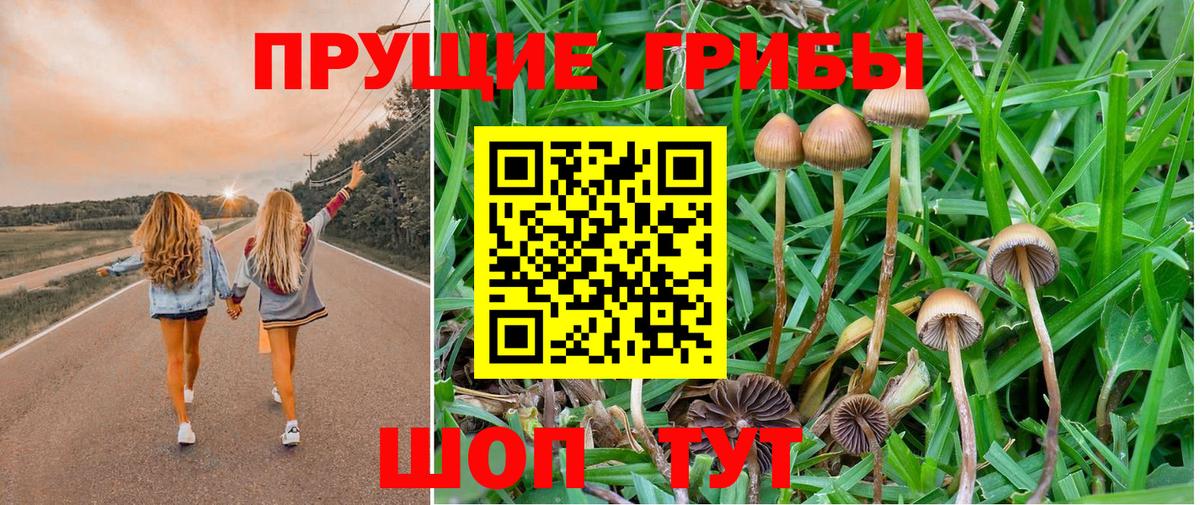 Галлюциногенные грибы мухоморы Коряжма