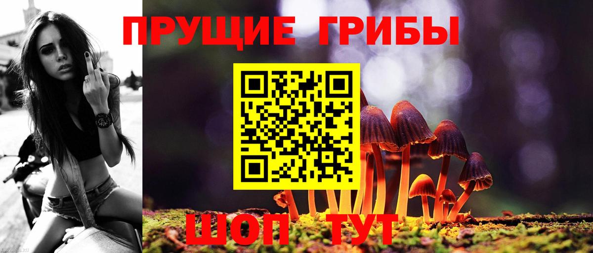 Галлюциногенные грибы прущие грибы  продажа наркотиков  Коряжма  Вход с VPN 